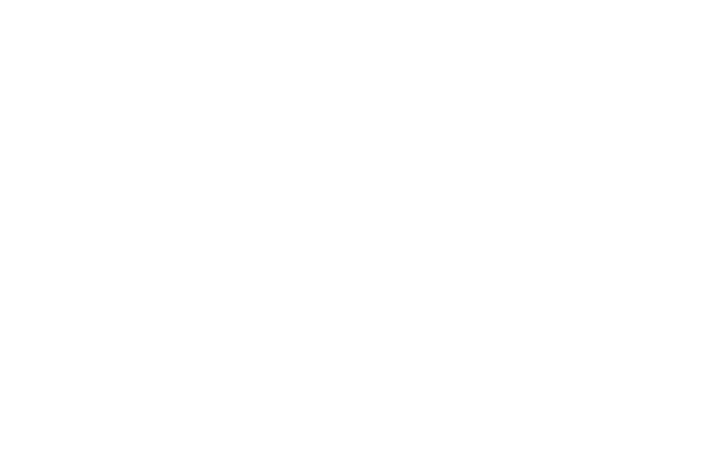 wealthaven - the true nature of worth