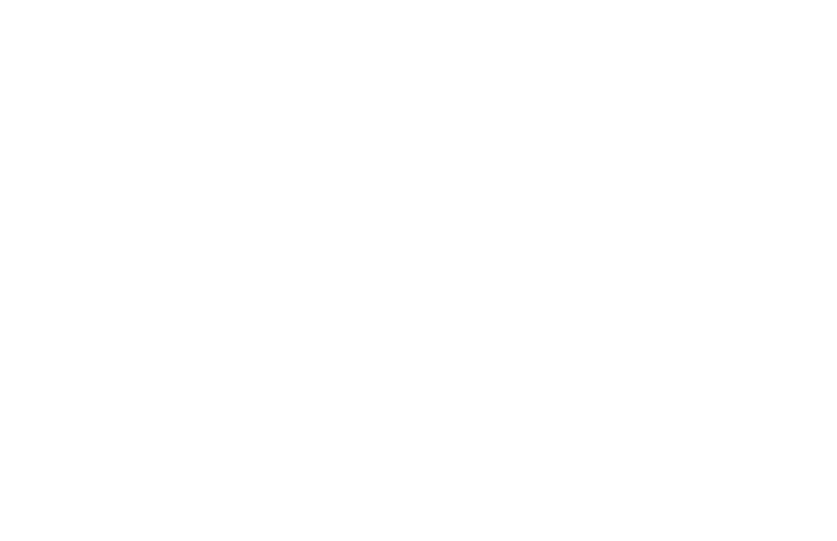 wealthaven - the true nature of worth